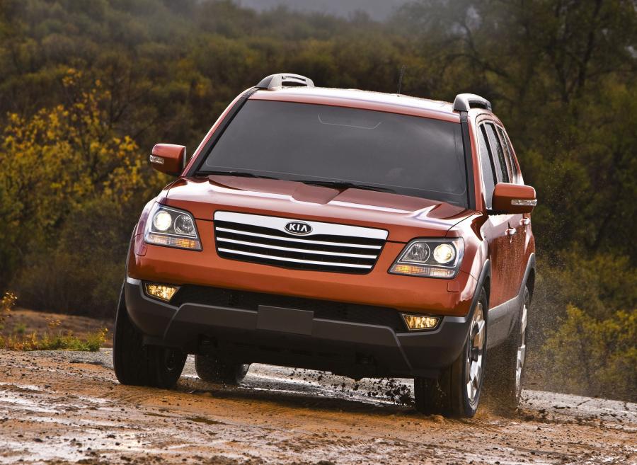  Kia Borrego 2009 года  (фото 334 из 345)